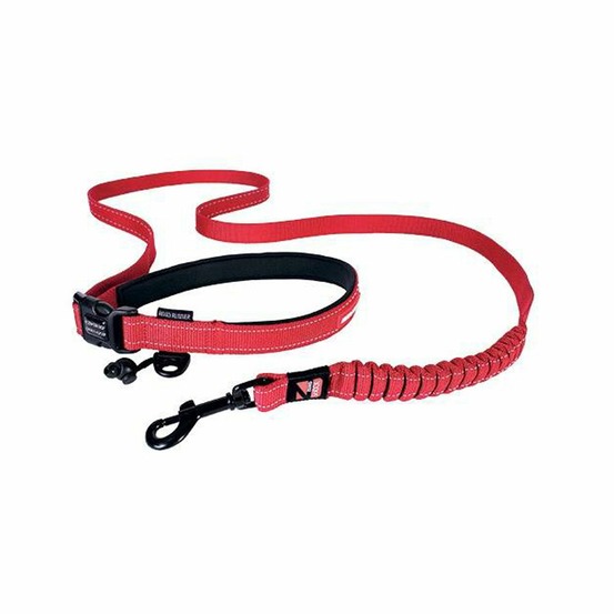Laisse road runner ezydog : rouge