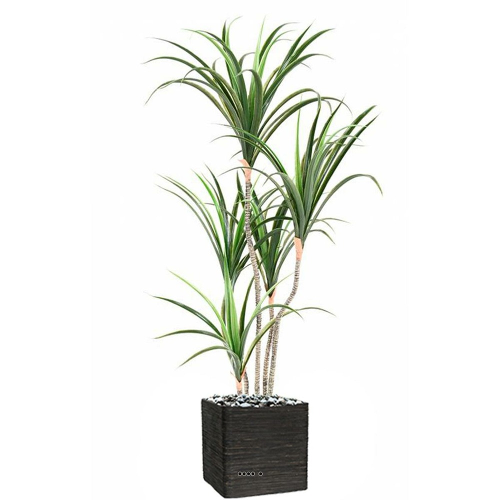 Dracaena marginata artificiel en pot h 130 cm