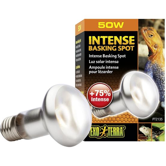 Lampe intense basking spot reptiles