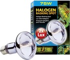 Lampe halogen basking spot 100w  reptiles