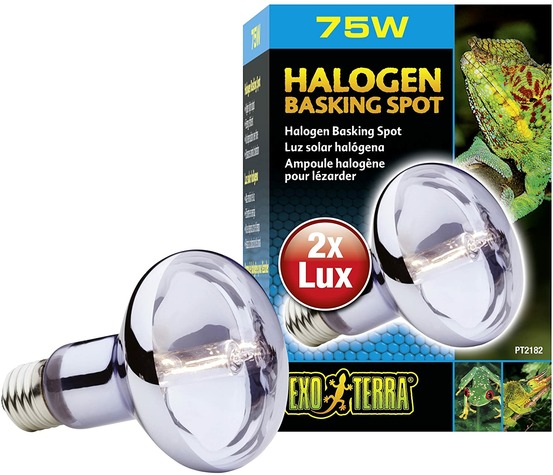 Lampe halogen basking spot 100w reptiles