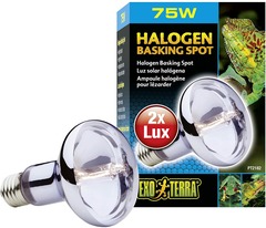 Exoterra lampe halogen basking spot 100w pour reptiles