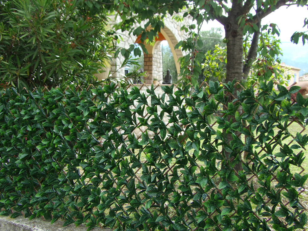 Treillis osier feuilles laurier cerise 1m x 2m
