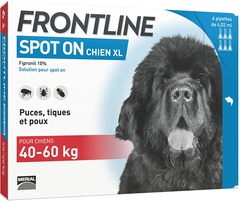 Frontline spot-on chien antiparasitaire pour chien 6 pipettes
