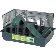Cage 40 souris, 39 x 26 x hauteur 22 cm,  verte pour souris