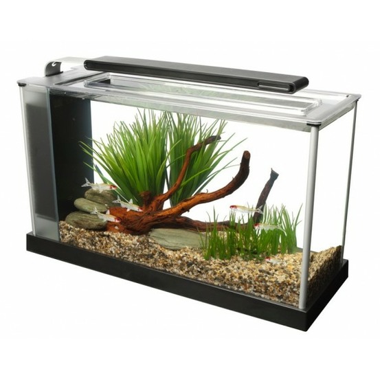 Aquarium spec blanc 19l