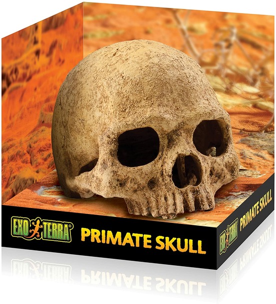 Crane primate décoration reptile amphibien grand