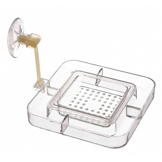 Tablette pour nourriture avec tamis 7 x 7 cm, aquarium.