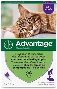 Advantage anti-puce pour chat 4 kg et plus 6 pipettes
