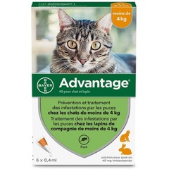 Advantage anti-puces pour chats moins de 4kg 6 pipettes