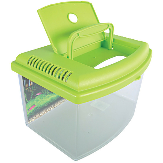 Aqua travel box ii, médium, taille 28 x 20 x h 17 cm, pour poisson couleur