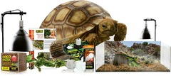 Exoterra kit tortue terrestre : cuve 60x35x23cm, lampe, abreuvoir, cachette, ...