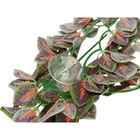 Plante en tissu à suspendre, folium perillae, pour reptiles 50 cm