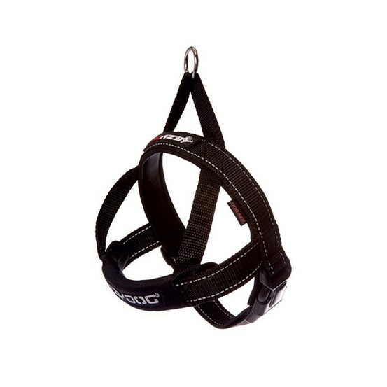 Harnais quick fit noir t3