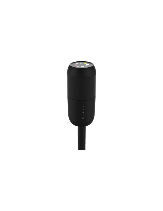 Enceinte led rvb ambiancejardin