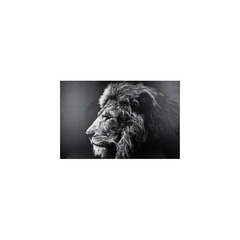 Toile imprimée lion 78 x 118 cm atmosphera