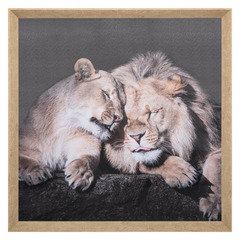 Toile imprimée cadre animaux 58 x 58 cm atmosphera -lions