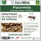 Solunéma - Fourmis - Nématodes Steinernema Feltiae (SF) - 50 millions traitement pour 100m²