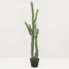 Plante verte artificielle faux cactus réaliste, h.120cm - chilali