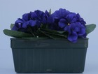 Composition fleurs artificielles cimetière mini jardinière violettes h15 cm l22