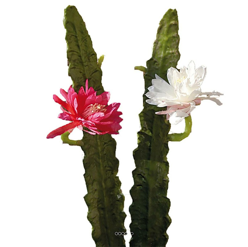 Joli cactus cierge artificiel en piquet h 52 cm avec sa fleur rose fushia - coul