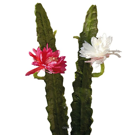 Joli cactus cierge artificiel en piquet h 52 cm avec sa fleur rose fushia - coul