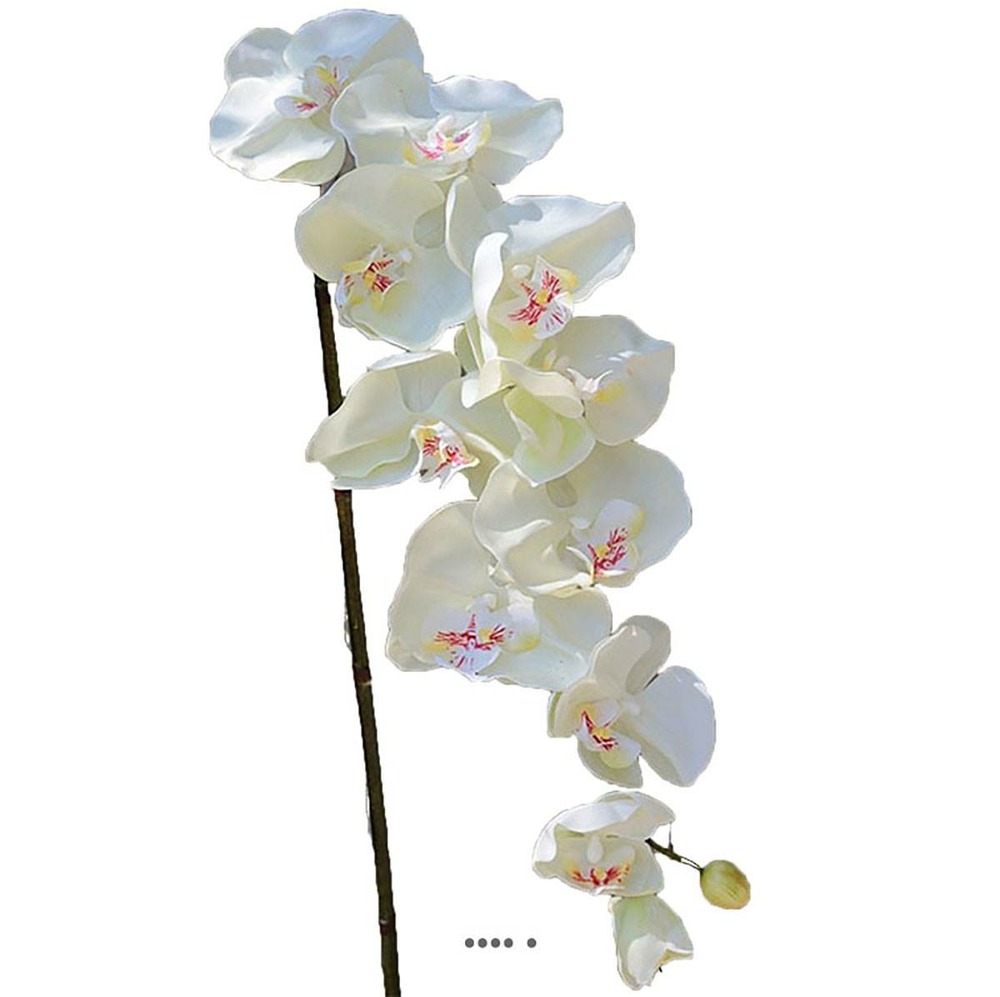 Superbe tige d'orchidée artificielle toucher réel 10 fleurons 110 cm crème