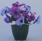 Composition fleurs artificielles cimetière pot anémones h25 cm d28 cm mauve viol