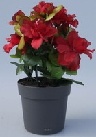 Composition fleurs artificielles cimetière pot azalées h25 cm d20 cm rouge-blanc
