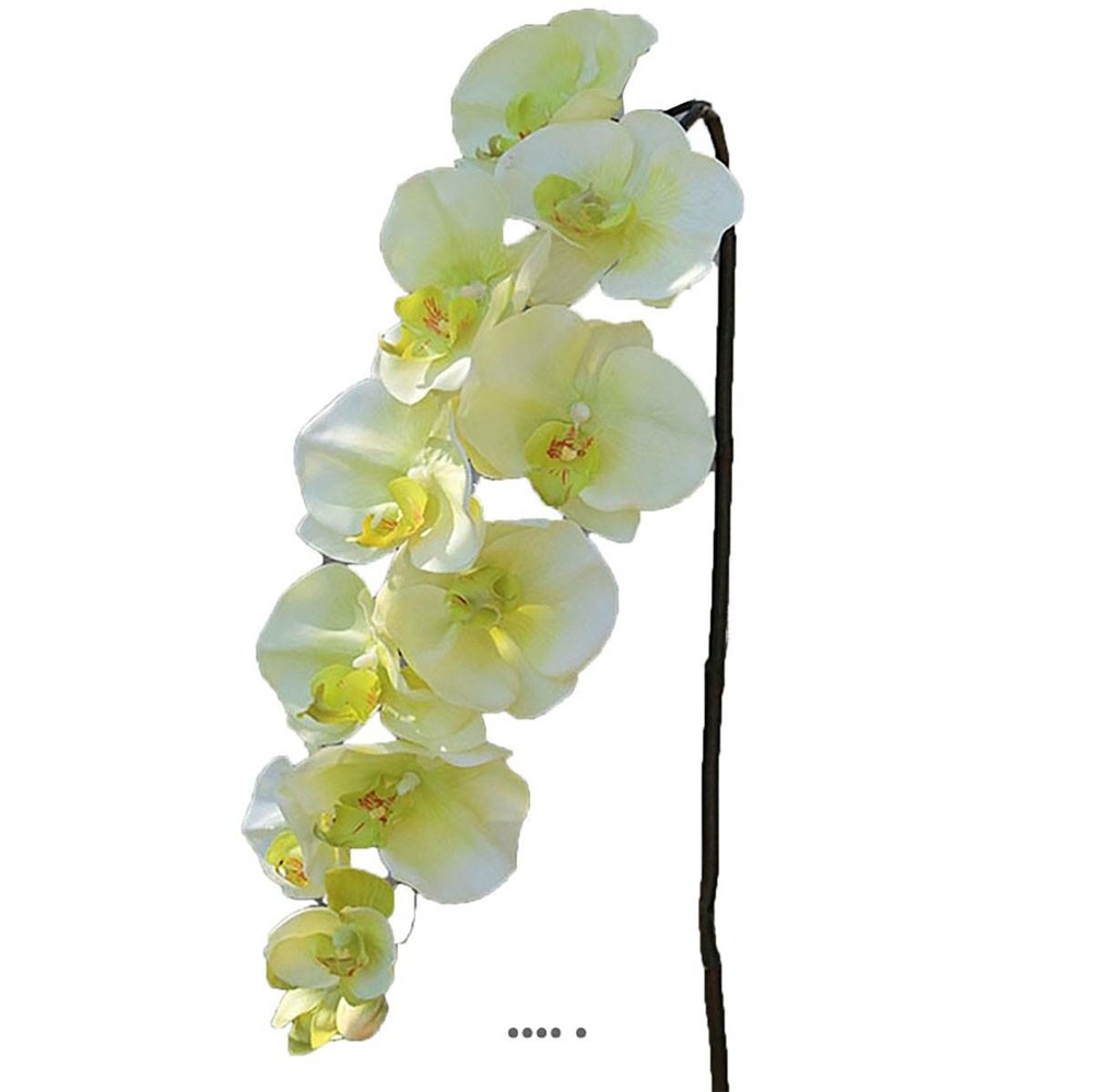 Superbe tige d'orchidée artificielle toucher réel 10 fleurons 110 cm crème