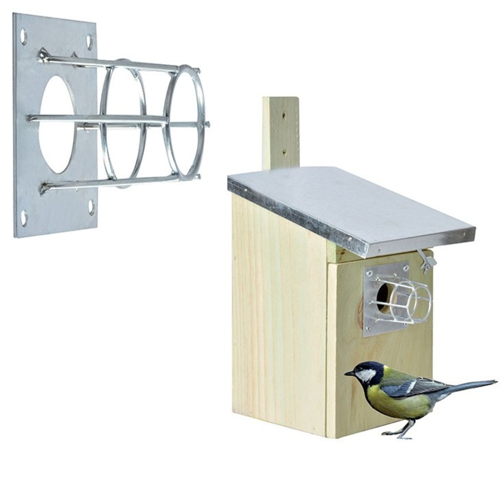 Protection contre les rongeurs