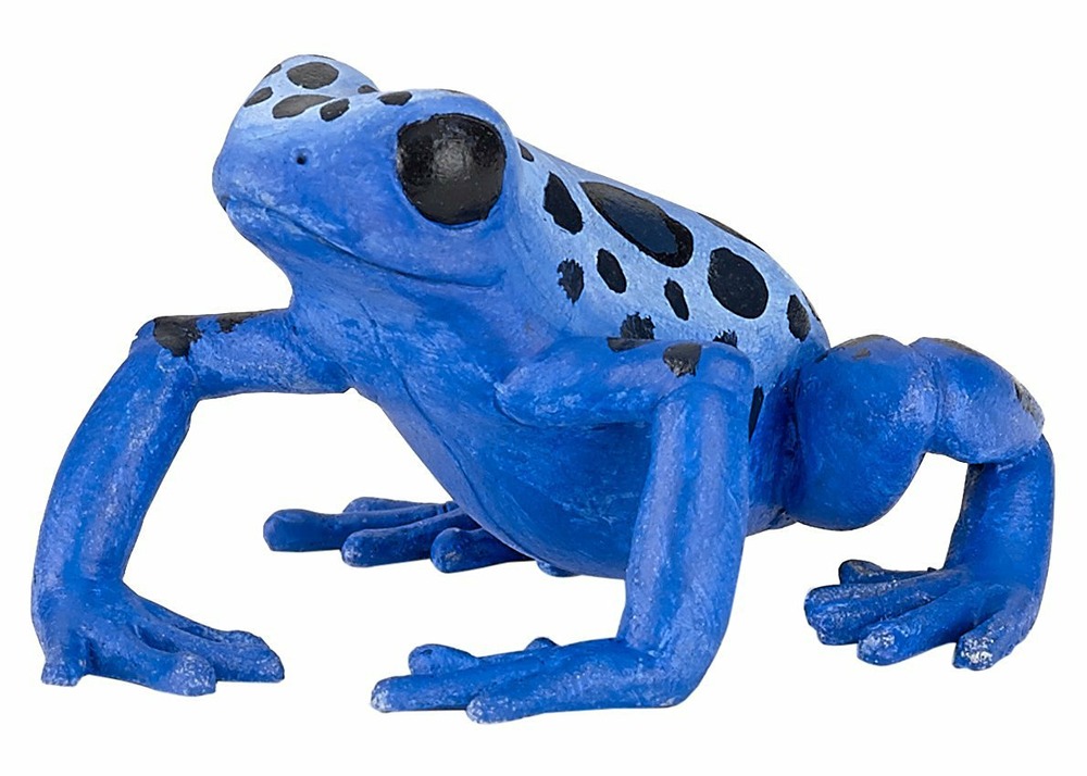 Grenouille Ã©quatoriale bleue