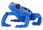 Figurine grenouille équatoriale bleue