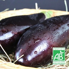 Graines d'aubergine de barbentane bio - sachet de 0,30 gr., +/- 75 graines