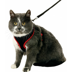 Harnais pour chatons, couleur noir et rouge, taille s, réglable