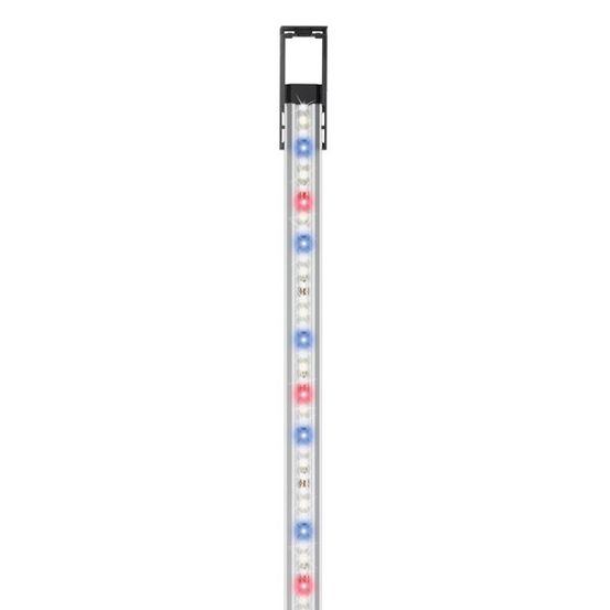Classicled plants - 94cm