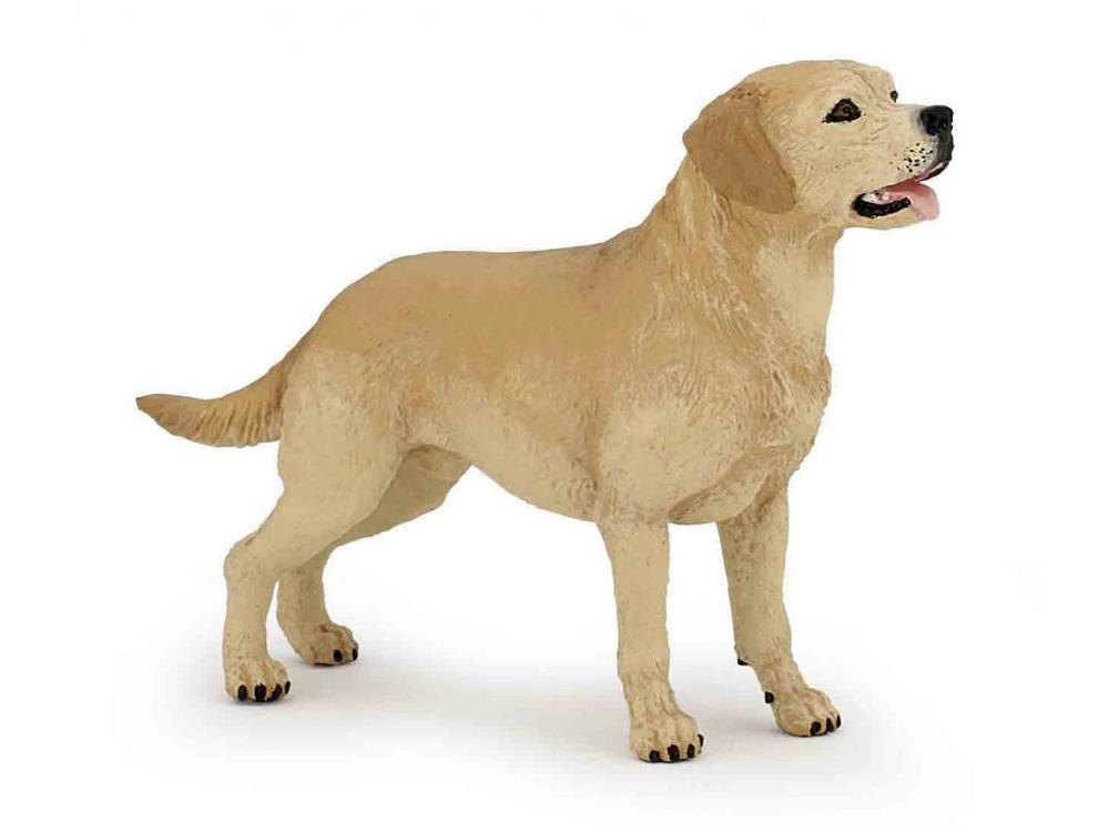 Figurine labrador