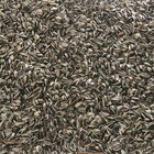 Graine de tournesol  sachet de700 gr oiseaux