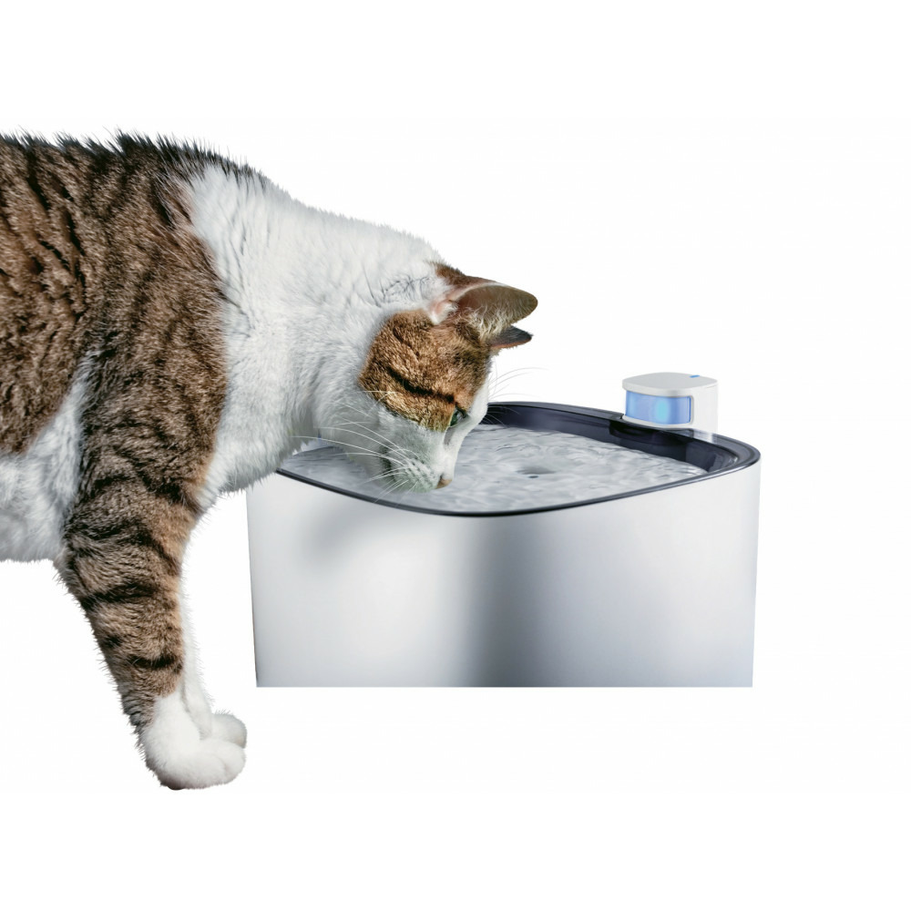 Fontaine à eau silencieuse Iguazu pour chat et petit chien 3 litres Truffaut
