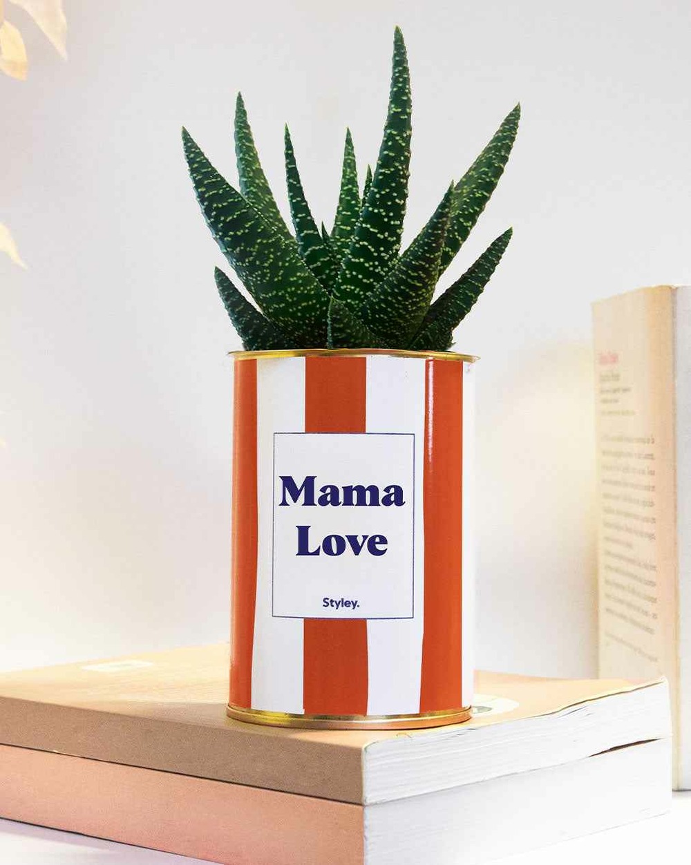Idée cadeau - mama love - cactus