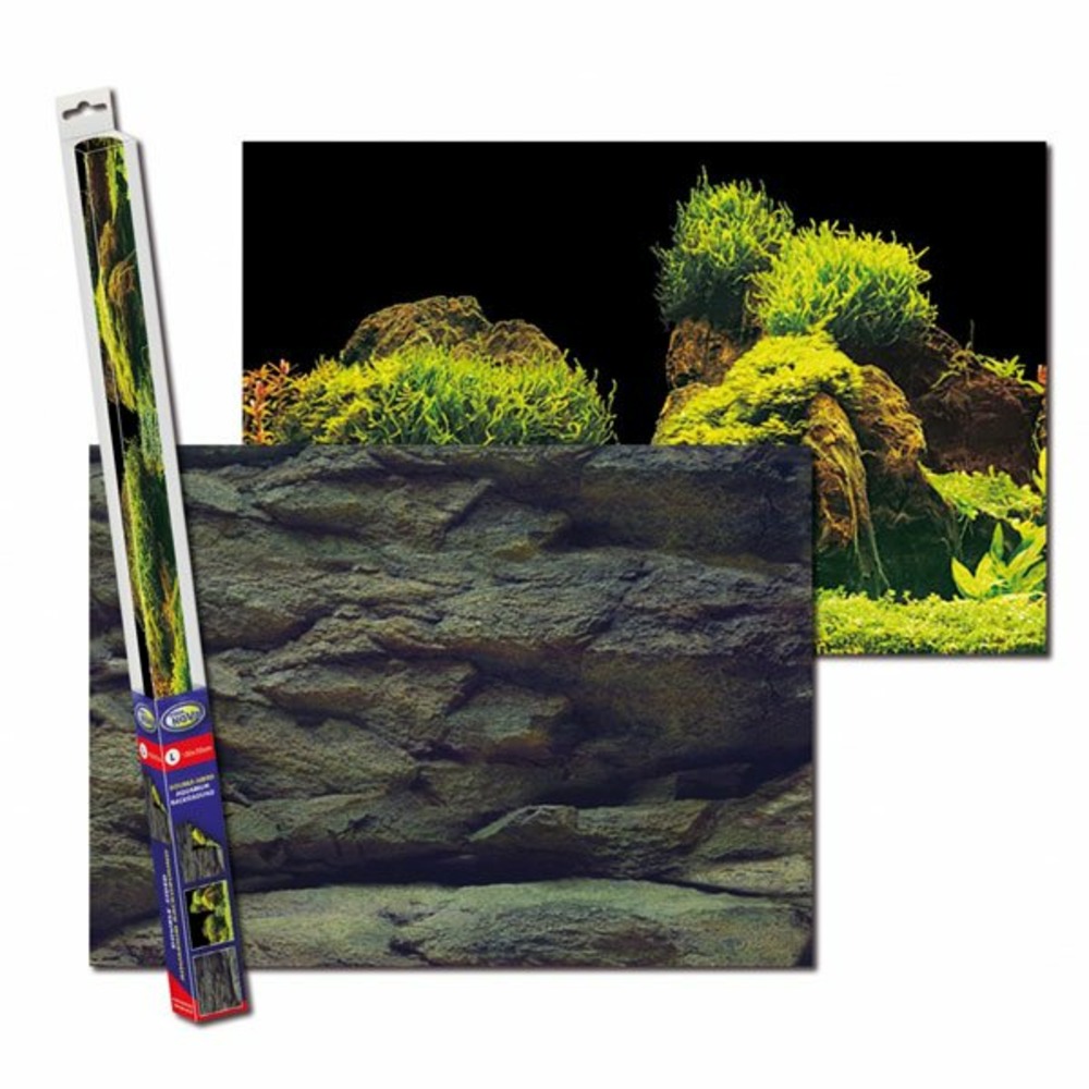 Poster de fond pierre/plante 100x50 cm