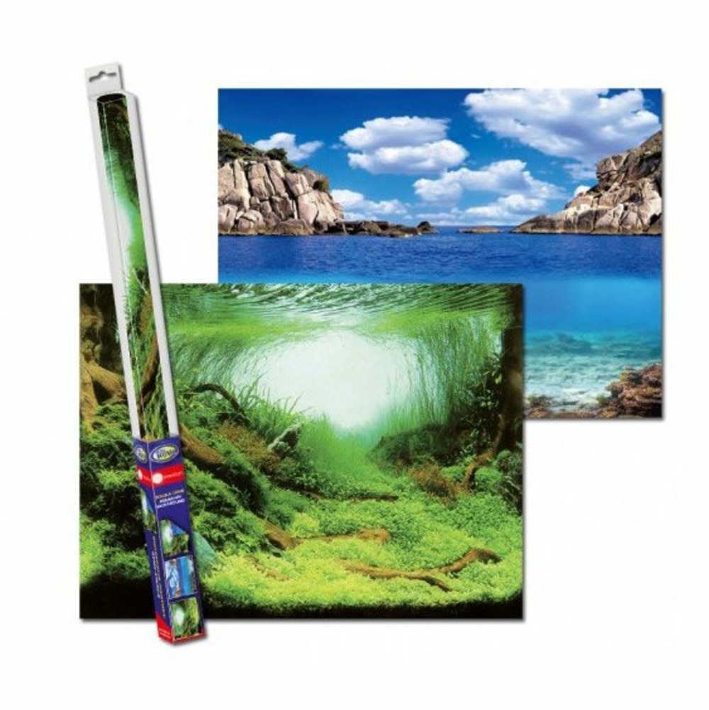 Poster de fond plante/océan 100x50 cm