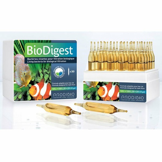 Biodigest 30 ampoules - bactéries d'entretien pour aquarium