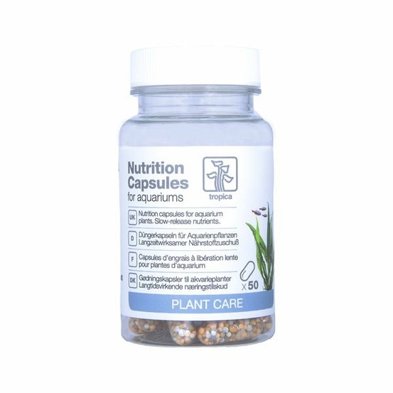 Nutrition capsules x50