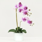 Orchidées artificielles toucher naturel 55cm