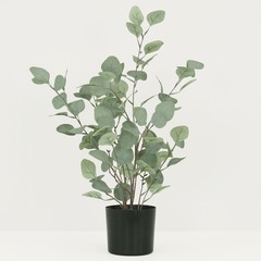 Eucalyptus artificiel effet blanchi 60cm