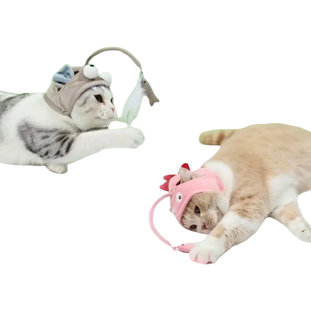 2 couvre - têtes pour chatons