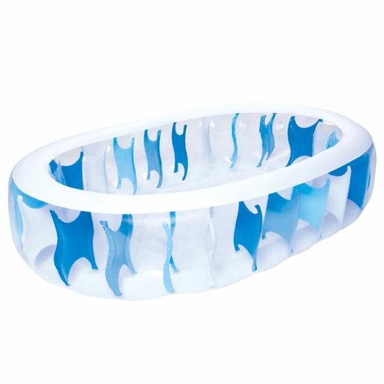 Piscine ovale 229 x 152 x 51 cm