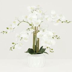OrchidÃ©e blanche artificielle 55 cm