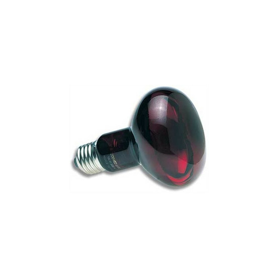 50 w zoo med lampe spot infrarouge - lampe chauffante infra-rouge nocturne